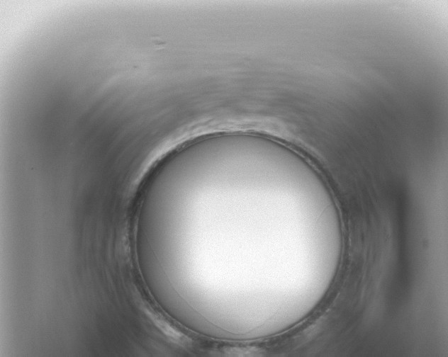 X0000061721498200512091947