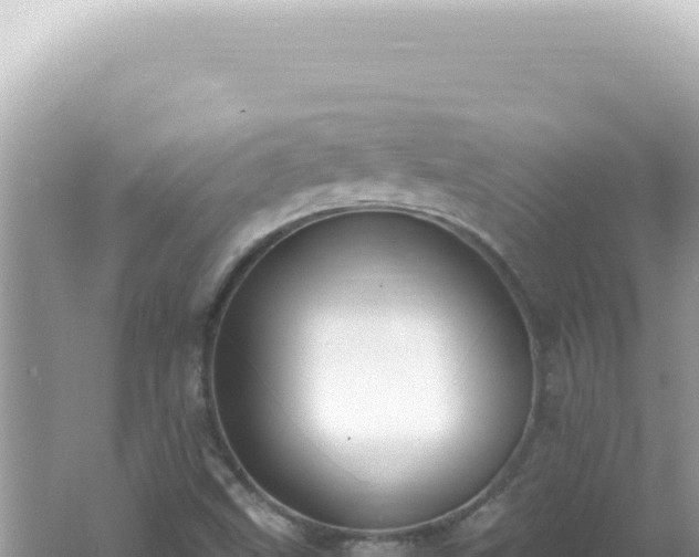 X0000061721499200512091947