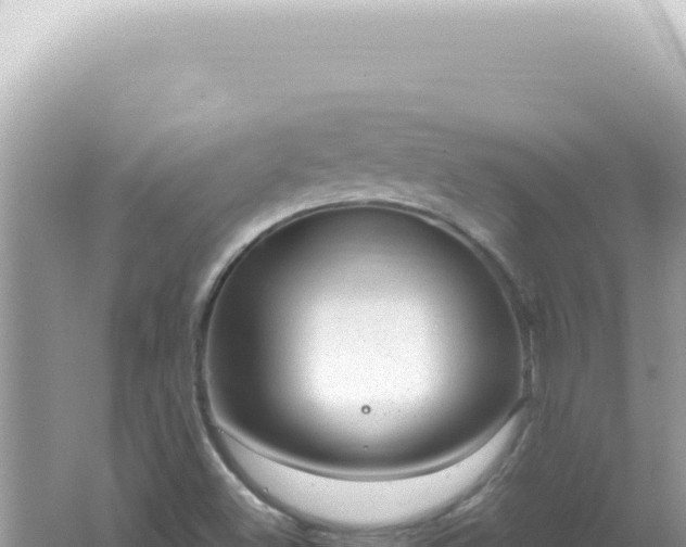 X0000061721500200512091947