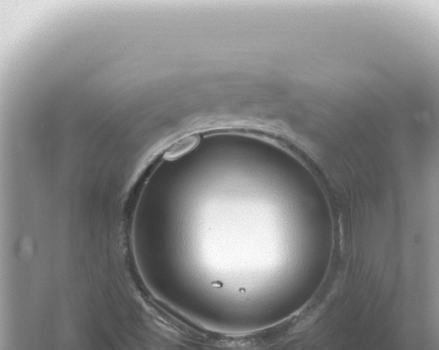 X0000061721501200512091947