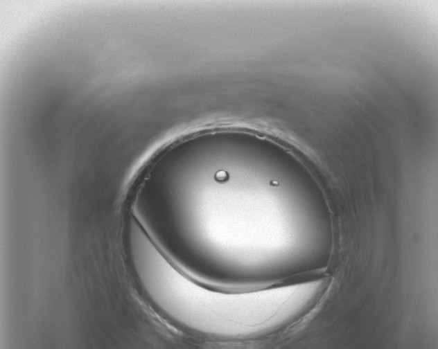 X0000061721502200512091947