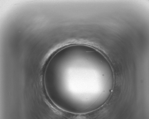 X0000061721503200512091947