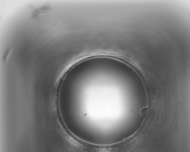 X0000061721504200512091947