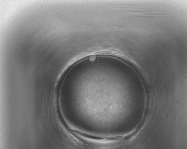 X0000061721506200512091947