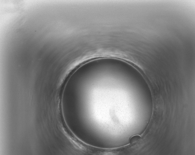 X0000061721507200512091947