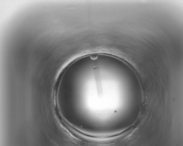 X0000061721510200512091947