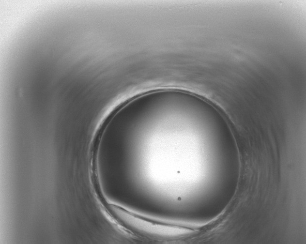 X0000061721511200512091947