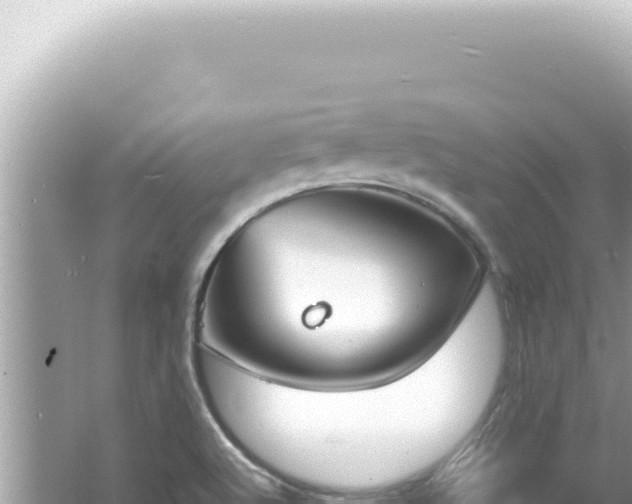 X0000061721512200512091947