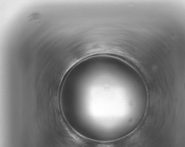 X0000061721513200512091947