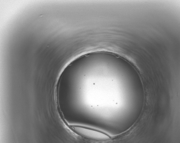 X0000061721516200512091947