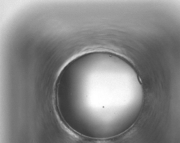 X0000061721518200512091947