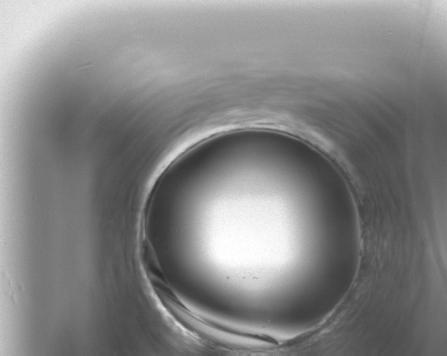 X0000061721520200512091947