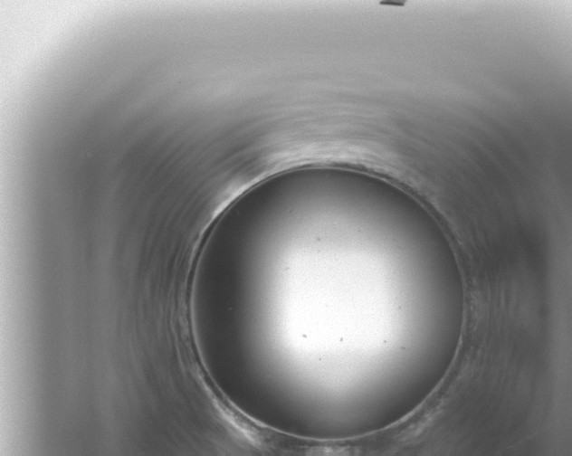 X0000061721521200512091947