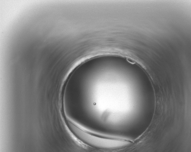 X0000061721523200512091947