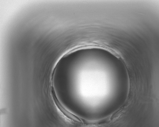 X0000061721524200512091947