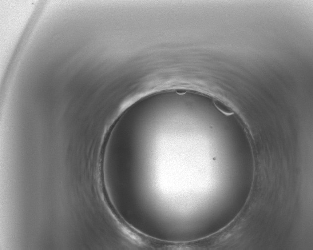 X0000061721525200512091947