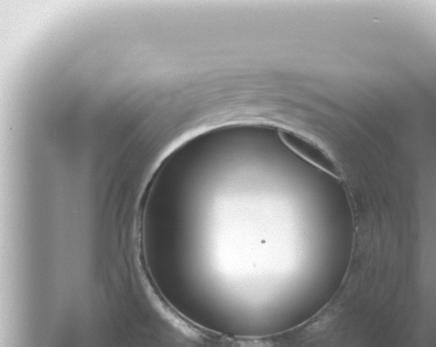 X0000061721526200512091947