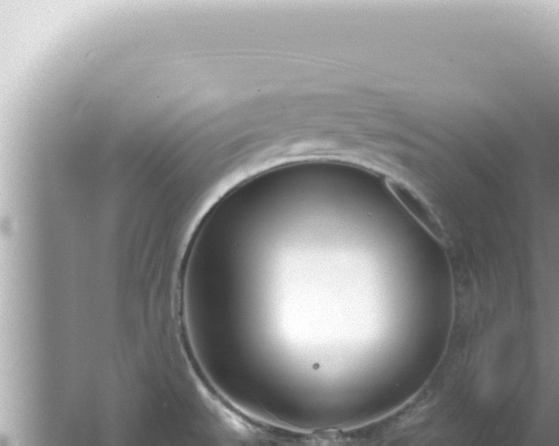 X0000061721527200512091947