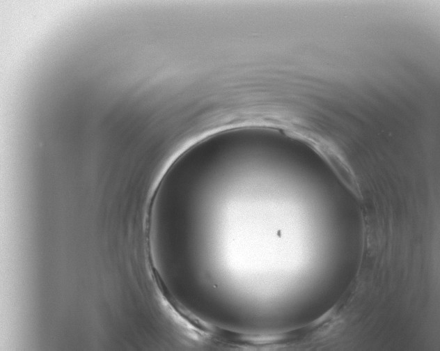 X0000061721532200512091947