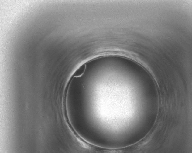 X0000061721533200512091947