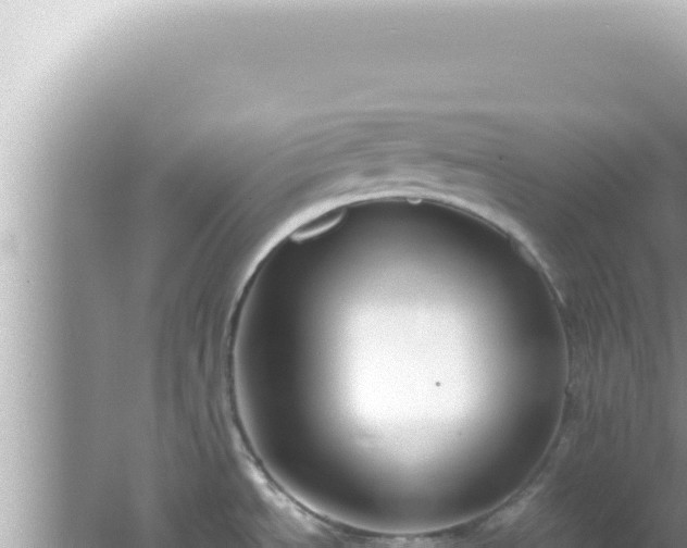 X0000061721534200512091947