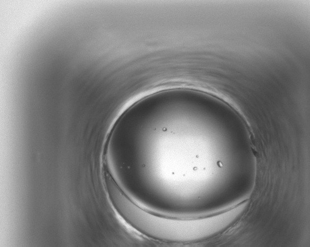 X0000061721535200512091947