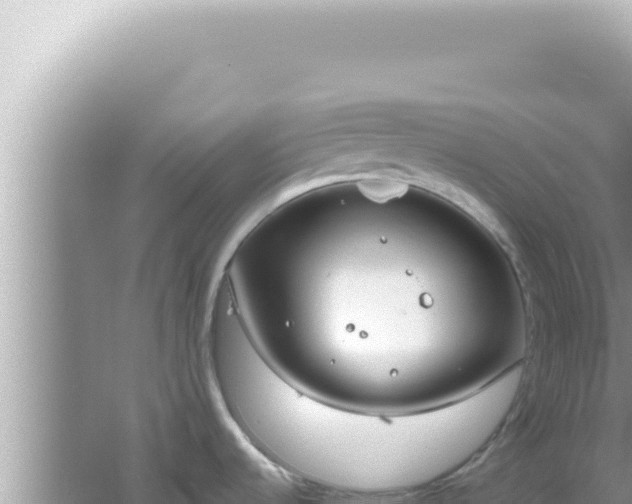 X0000061721536200512091947