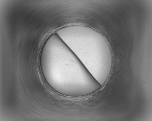 X0000061720001200512161608