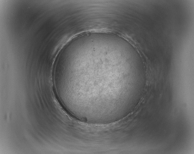 X0000061720002200512161608