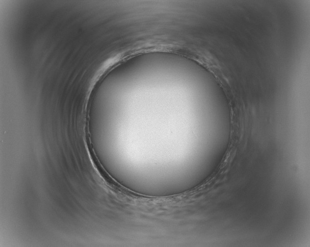 X0000061720003200512161608