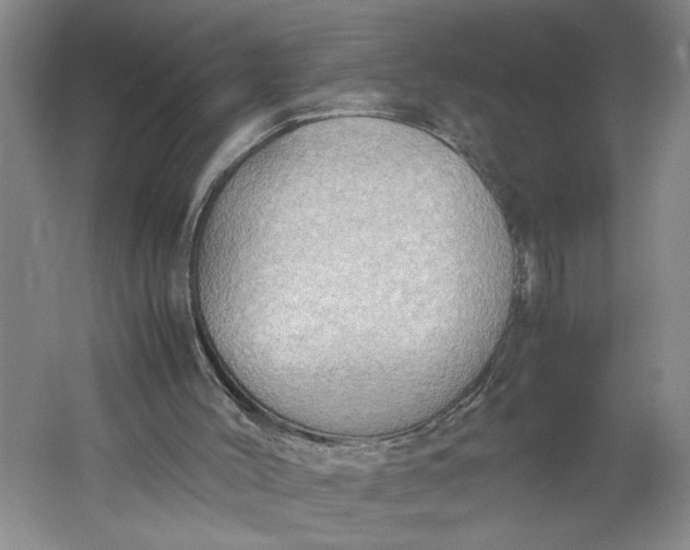 X0000061720004200512161608