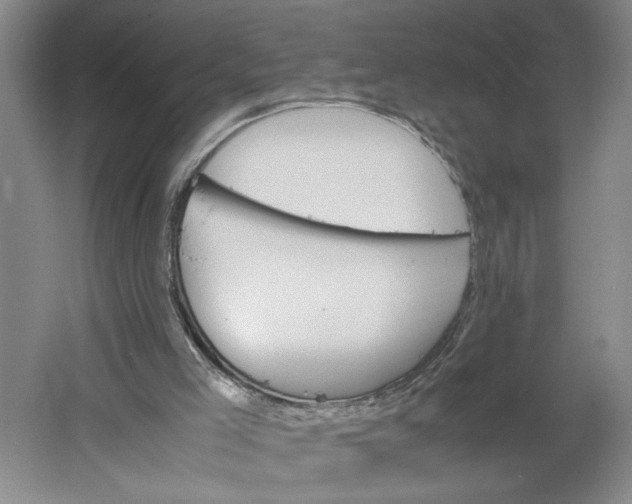 X0000061720005200512161608