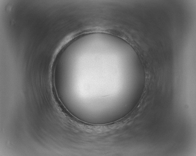 X0000061720006200512161607