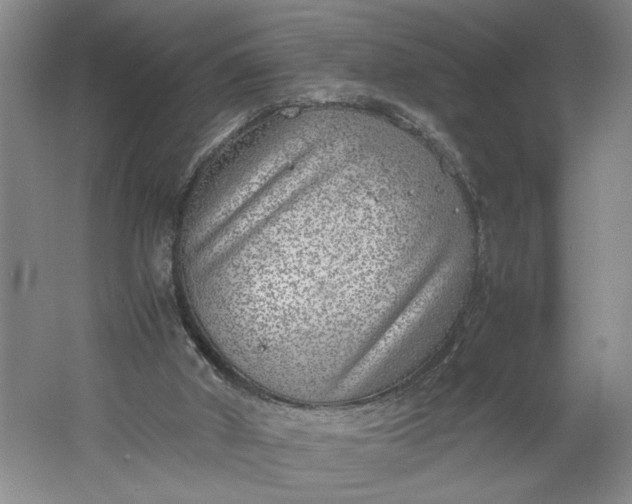 X0000061720010200512161607