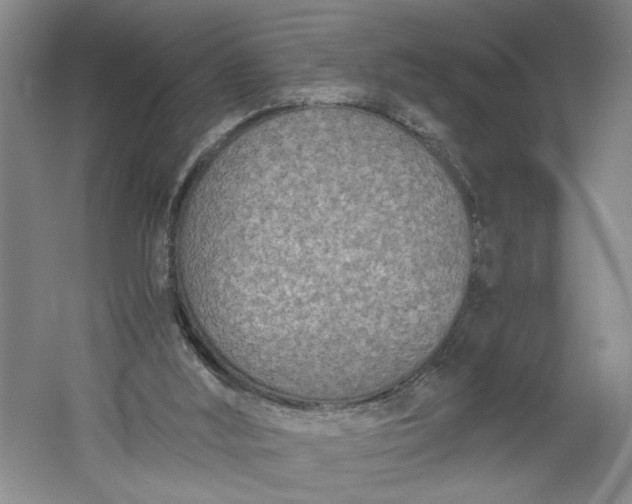 X0000061720012200512161607