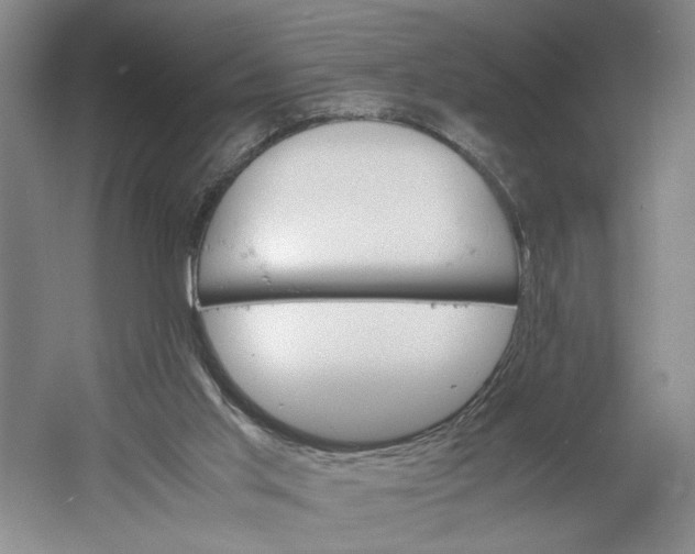 X0000061720013200512161607