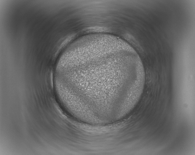 X0000061720014200512161607