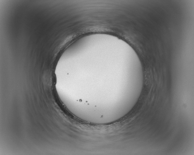 X0000061720015200512161607