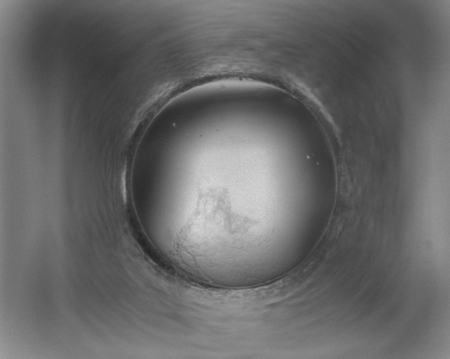 X0000061720019200512161607