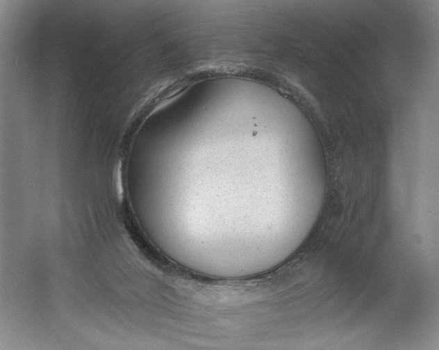 X0000061720020200512161607