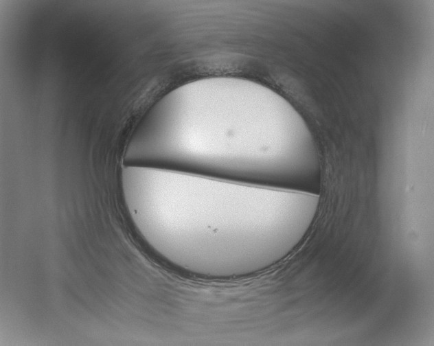 X0000061720021200512161607