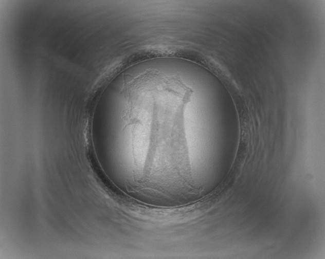 X0000061720023200512161607