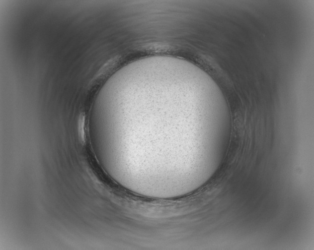 X0000061720024200512161607