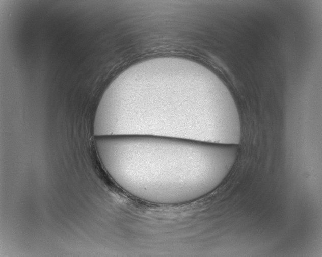 X0000061720025200512161607