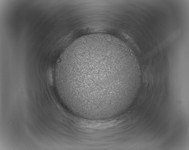 X0000061720026200512161607