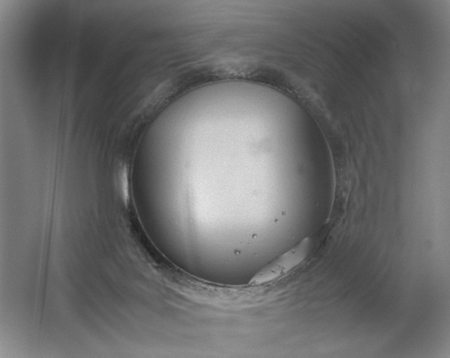 X0000061720027200512161607