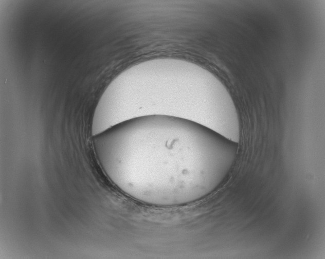 X0000061720029200512161607