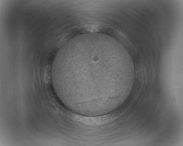 X0000061720030200512161607