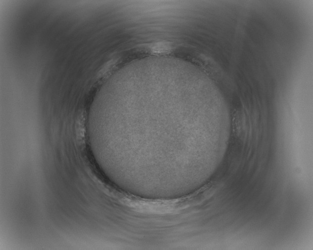 X0000061720032200512161607