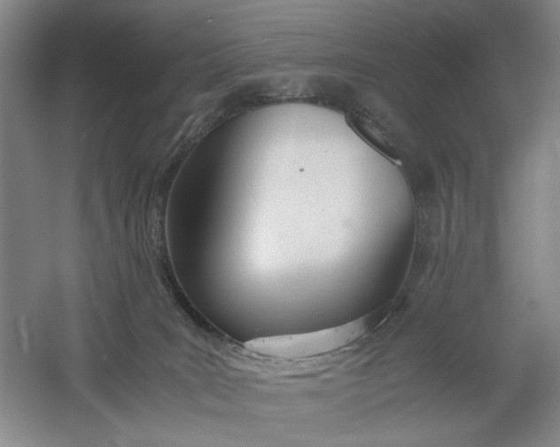 X0000061720035200512161607